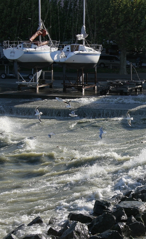 Storm, Geneva Switzerland 1.jpg - Storm